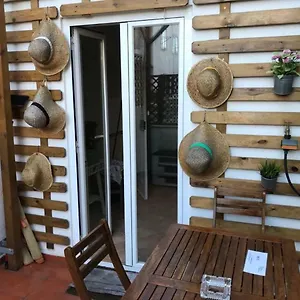  Apartment Flat With Terrace In Adamastor Portugal